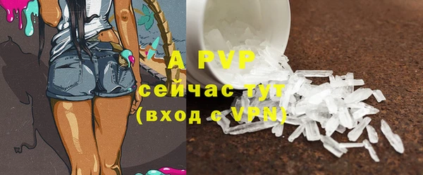 эйфоретик Баксан