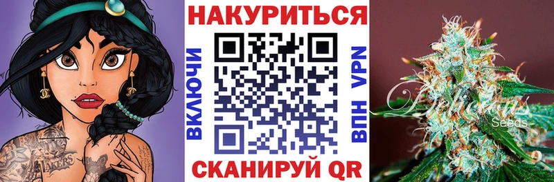 Канабис планчик Благодарный